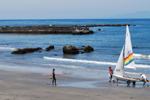 客室からの眺望（初夏の海岸）のイメージ