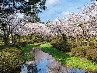 兼六園(春)のイメージ