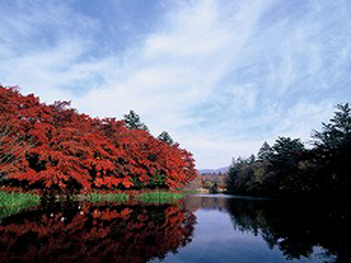 雲場池　紅葉のイメージ