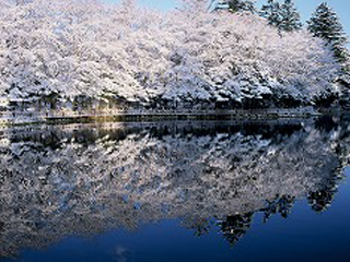 雲場池　冬景色のイメージ
