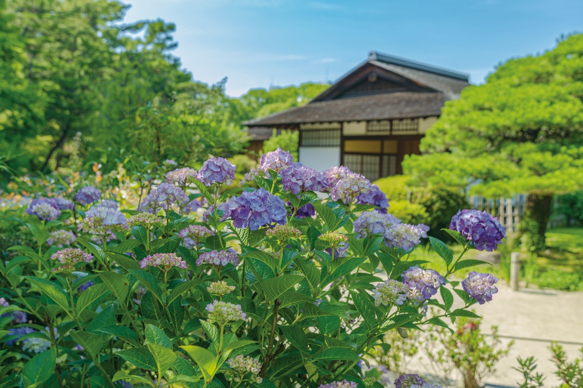 縮景園イメージ