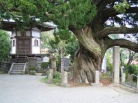 城願寺のイメージ