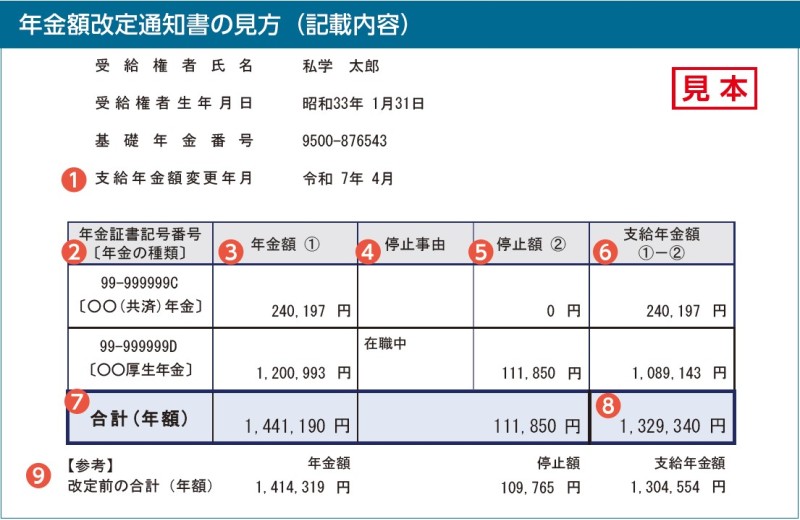 年金額改定通知書の見本